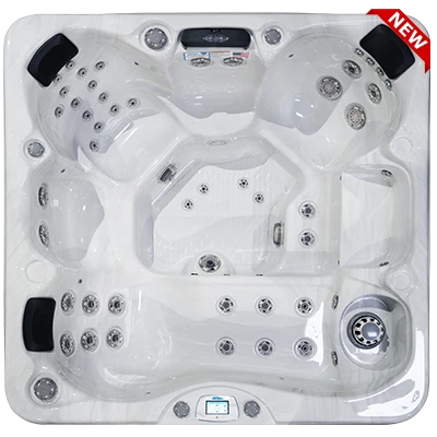 Avalon-X EC-849LX hot tubs for sale in Plymouth